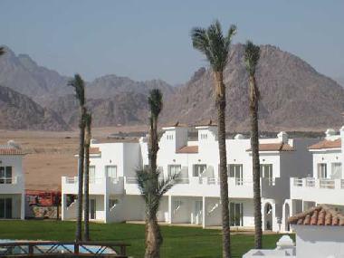 Appartement de vacances �/en/au Sharm El sheikh (Janub Sina