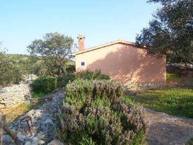 Maison de vacances �/en/au Dugi Otok - Sali (Zadarska)ou appartement ou maison de vacances