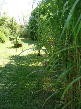 Maison de vacances /en/au Lou (Sarthe)ou appartement ou maison de vacances