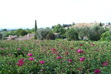 Maison de vacances /en/au Viterbo -Fabrica di Roma (Viterbo)ou appartement ou maison de vacances