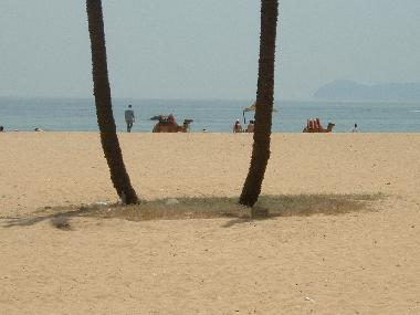 Appartement de vacances �/en/au Tetouan (Tanger)ou appartement ou maison de vacances