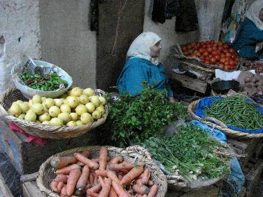 Appartement de vacances �/en/au Tetouan (Tanger)ou appartement ou maison de vacances