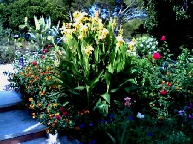 Maison de vacances �/en/au Baja Sardinia (Sassari)ou appartement ou maison de vacances