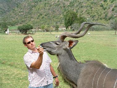 Chambre avec petit djeuner /en/au Oudtshoorn (Western Cape)ou appartement ou maison de vacances