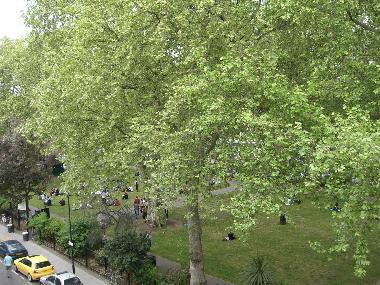 Appartement de vacances �/en/au London East End (Inner London)ou appartement ou maison de vacances