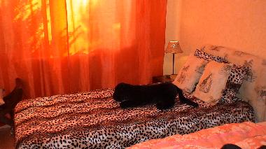 Maison de vacances �/en/au PRIMELIN (Finist�re)ou appartement ou maison de vacances