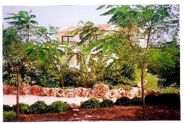 Maison de vacances �/en/au Protaras (Famagusta)ou appartement ou maison de vacances