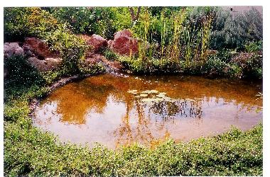 Maison de vacances �/en/au Protaras (Famagusta)ou appartement ou maison de vacances