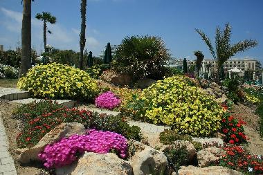 Maison de vacances �/en/au Protaras (Famagusta)ou appartement ou maison de vacances