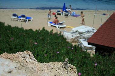 Maison de vacances �/en/au Protaras (Famagusta)ou appartement ou maison de vacances