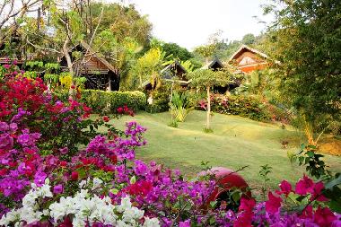Htel /en/au Kata (Phuket)ou appartement ou maison de vacances