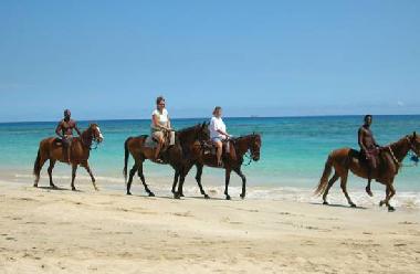 Maison de vacances �/en/au Runaway Bay Jamaica (Saint Ann)ou appartement ou maison de vacances