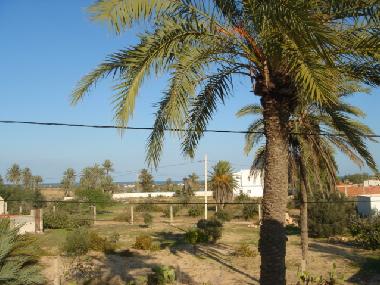 Maison de vacances �/en/au Midoun (Madanin)ou appartement ou maison de vacances