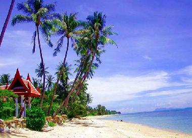 Maison de vacances /en/au Bang por/ Maenam/ Koh Samui (Surat Thani)ou appartement ou maison de vacances