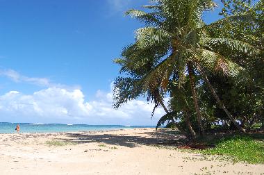 Chambre avec petit d�jeuner �/en/au Samana (Samana)ou appartement ou maison de vacances