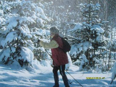 Appartement de vacances /en/au Freyung (Niederbayern)ou appartement ou maison de vacances