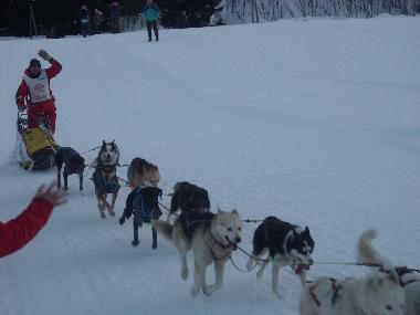 Appartement de vacances �/en/au LES CARROZ d