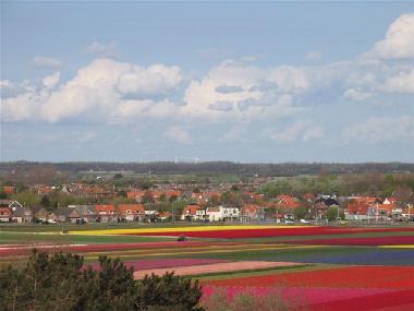 Maison de vacances /en/au Egmond aan Zee (Noord-Holland)ou appartement ou maison de vacances