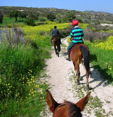 Appartement de vacances �/en/au Psematismenos (Larnaca)ou appartement ou maison de vacances