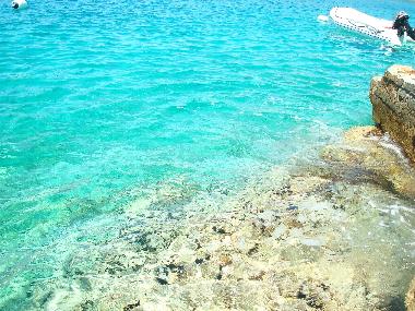 Maison de vacances �/en/au Sevid (Splitsko-Dalmatinska)ou appartement ou maison de vacances