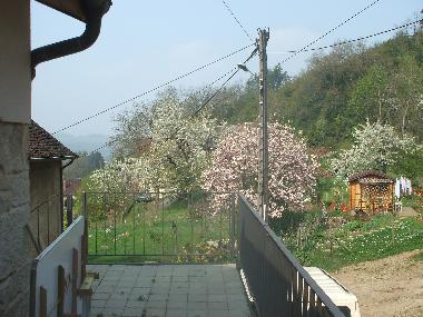 Maison de vacances �/en/au passenans (Jura)ou appartement ou maison de vacances