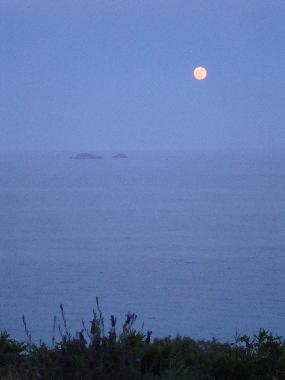 Maison de vacances �/en/au PORTO VECCHIO (Corse-du-Sud)ou appartement ou maison de vacances