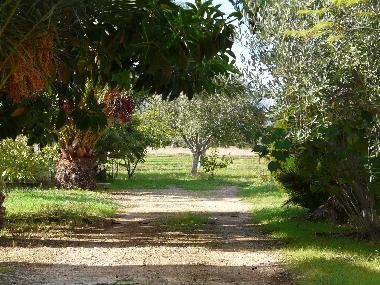 Maison de vacances /en/au Scopello (Trapani)ou appartement ou maison de vacances