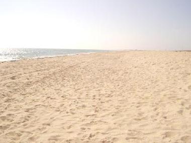 Appartement de vacances �/en/au Faro (Algarve)ou appartement ou maison de vacances