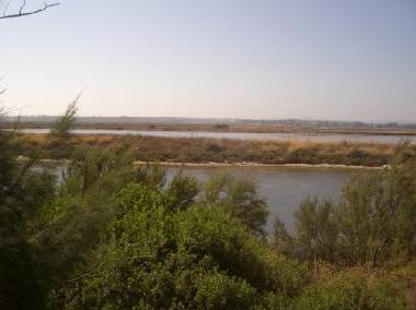 Appartement de vacances �/en/au Faro (Algarve)ou appartement ou maison de vacances