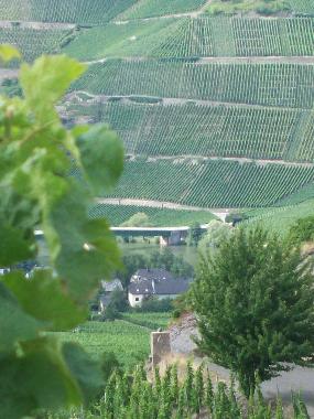 Appartement de vacances /en/au Piesport (Mosel - Saar)ou appartement ou maison de vacances