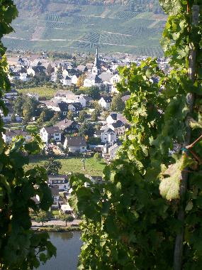 Appartement de vacances /en/au Piesport (Mosel - Saar)ou appartement ou maison de vacances