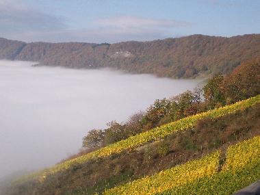 Appartement de vacances /en/au Piesport (Mosel - Saar)ou appartement ou maison de vacances