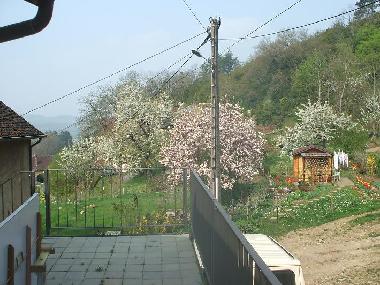 Maison de vacances �/en/au passenans (Jura)ou appartement ou maison de vacances