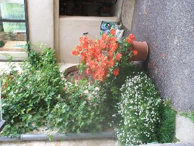 Maison de vacances �/en/au passenans (Jura)ou appartement ou maison de vacances