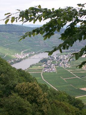 Appartement de vacances /en/au Piesport (Mosel - Saar)ou appartement ou maison de vacances