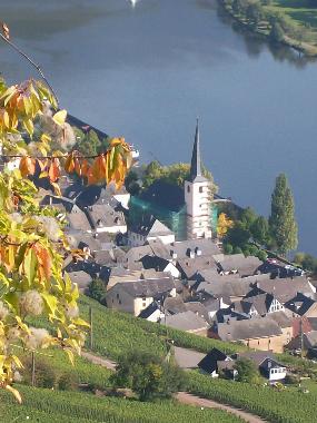 Appartement de vacances /en/au Piesport (Mosel - Saar)ou appartement ou maison de vacances