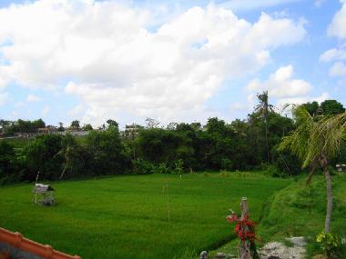 Maison de vacances �/en/au Canggu (Bali)ou appartement ou maison de vacances