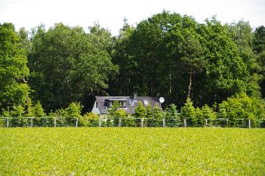 Maison de vacances /en/au Resthausen (Oldenburger Mnsterland)ou appartement ou maison de vacances