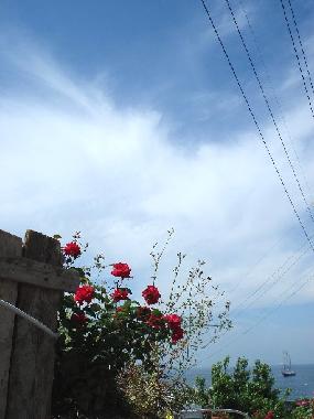Maison de vacances �/en/au Anacapri  (Napoli)ou appartement ou maison de vacances