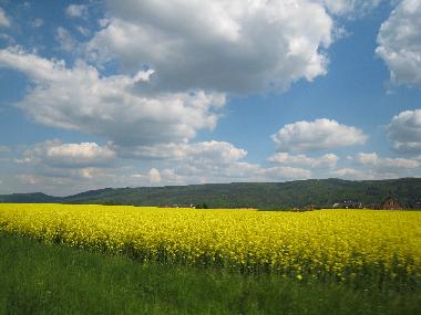 Appartement de vacances �/en/au Vysoky Ujezd u Berouna (Stredocesky Kraj)ou appartement ou maison de vacances