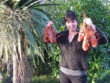 Maison de vacances �/en/au Tolaga Bay (Wairoa)ou appartement ou maison de vacances