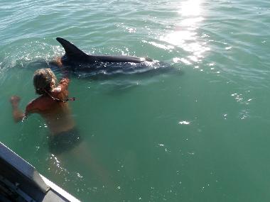 Maison de vacances �/en/au Tolaga Bay (Wairoa)ou appartement ou maison de vacances