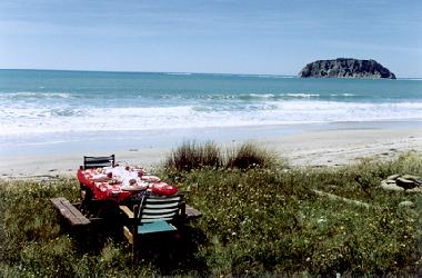 Maison de vacances �/en/au Tolaga Bay (Wairoa)ou appartement ou maison de vacances