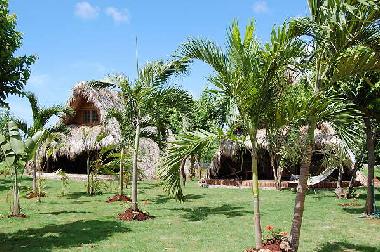 Chalet �/en/au Las Galeras - Saman� (Samana)ou appartement ou maison de vacances