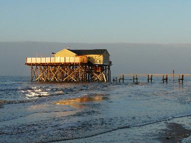 Appartement de vacances �/en/au St.Peter-Ording Dorf (Nordsee-Festland)ou appartement ou maison de vacances