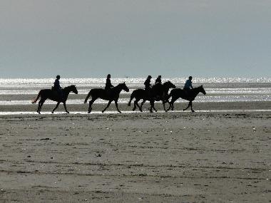 Appartement de vacances �/en/au St.Peter-Ording Dorf (Nordsee-Festland)ou appartement ou maison de vacances