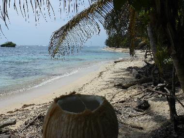 Maison de vacances �/en/au Old Bank (Bocas del Toro)ou appartement ou maison de vacances