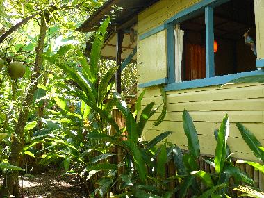 Maison de vacances �/en/au Bocas (Bocas del Toro)ou appartement ou maison de vacances