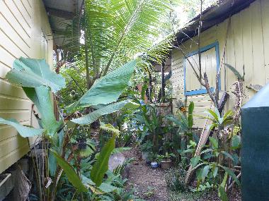 Maison de vacances �/en/au Bocas (Bocas del Toro)ou appartement ou maison de vacances