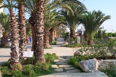 Appartement de vacances �/en/au Cossignano (Ascoli Piceno)ou appartement ou maison de vacances